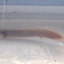 용모농장 이미지