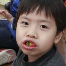 정무농장 이미지