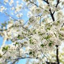 세븐일레븐자양으뜸2호점 | 으뜸 안경 블루라이트차단 렌즈 가성비 가격 맞춤 후기