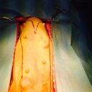 나루동물병원 이미지