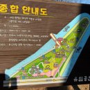 봄꽃헤어 - 달서구 | 봄꽃헤어