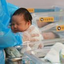 Fewer than 10 babies born in 38% of cities지난해 한국의 38% 도시, 군에서 태어난 아기 10명 미만 이미지