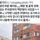 영진월드투어 이미지