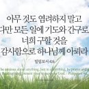 파마트삼보약국 이미지