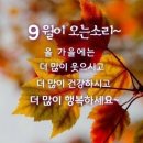 *가발 때문에~ 이미지