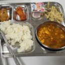 유스동물병원 | 부산국제고에서 한 달간 지낸 소감!