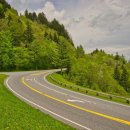 늘푸른수지 이미지