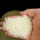 의성중부농협 안사지점 | 밥맛 좋은 쌀 추천! 의성진쌀 미소진품으로 매일 고슬고슬 밥짓기