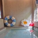 제주서가 이미지