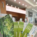 신비한 돈의 세계 이미지