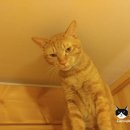 별이와콩이 이미지