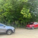 오복가든 | 양주 남면 오리고기 맛집 [오복가든] 청둥오리 전문점에서 오리주물럭 먹은 후기