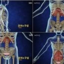 바디라인  필라테스 요가 이미지