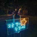 오크밸리 소나타 오브 라이트 빛의 축제 이미지