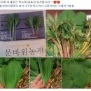 문바위농장 이미지