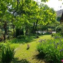 진천농협주유소 이미지