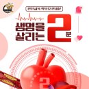 인성 태비 태권도 이미지