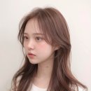 헤어봄 네이버블로그