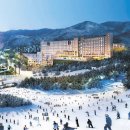 휘닉스파크관광단지 이미지