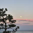 무장해제 이미지