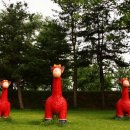 행복목장 이미지