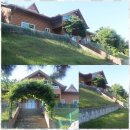 용인대국가대표사랑태권도 이미지