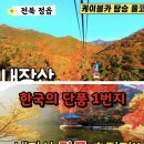 11/20(수)내장사 케이블카 단풍 트레킹 (정읍)출발06시50분 이미지