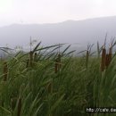 효우농장 이미지