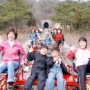 문경철로자전거 Daum카페