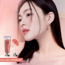 무지개독 이미지