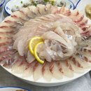 동강횟집 네이버블로그