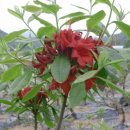 부리농장 이미지