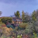 큰숲작은도서관 이미지