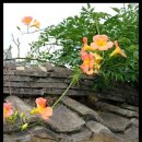 개평마을 이미지