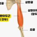 사슬로우