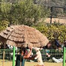 루카농장 이미지