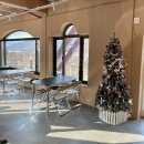 벤첼리 네이버블로그