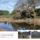 보리감자마을 이미지