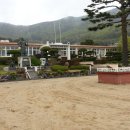 대사초등학교 Daum카페