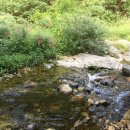 천태산 오토캠핑장 이미지