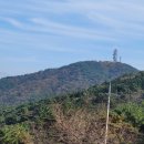 연미초등학교 | 부산 금련산 등반후기