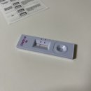 두레온누리약국 | SD바이오센서 코로나 자가 진단 키트 후기😷 음성은 나왔지만, 믿어도 되나?