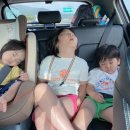 돈나라우나라 | 1박2일 강원도여행,8월2022