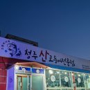 청주 봉명동 비린 맛없이 신선한 고등어회 맛집 횟집 &#39;청주산고등어전문점&#39;
