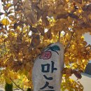 만승농장 네이버블로그