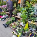 종로-종로-종로-종-264 이미지