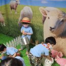 태건농장 이미지