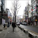 종로은행나무집 - 468930 | 종로은행나무집