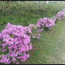 임상호농장 이미지