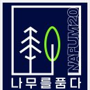 나무를품다